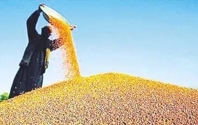 3c117e5b72793fc7b53642fa850edced.jpg 羞羞影视