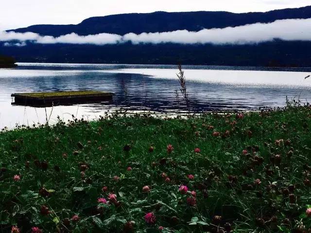 33.webp.jpg 羞羞影视