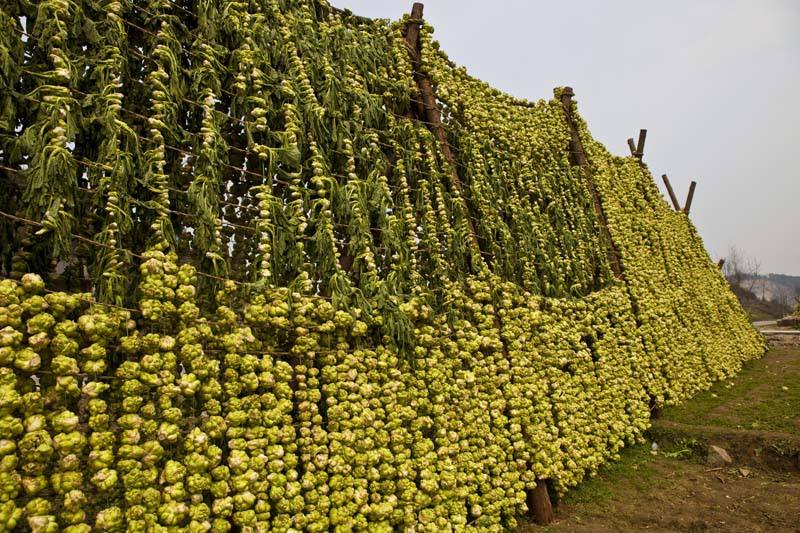 timg (2).jpg 羞羞影视