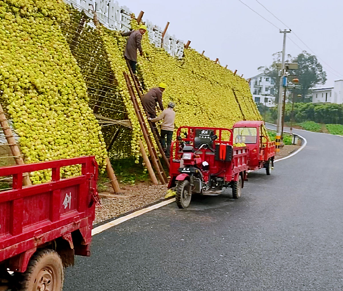 图片7.png 羞羞影视