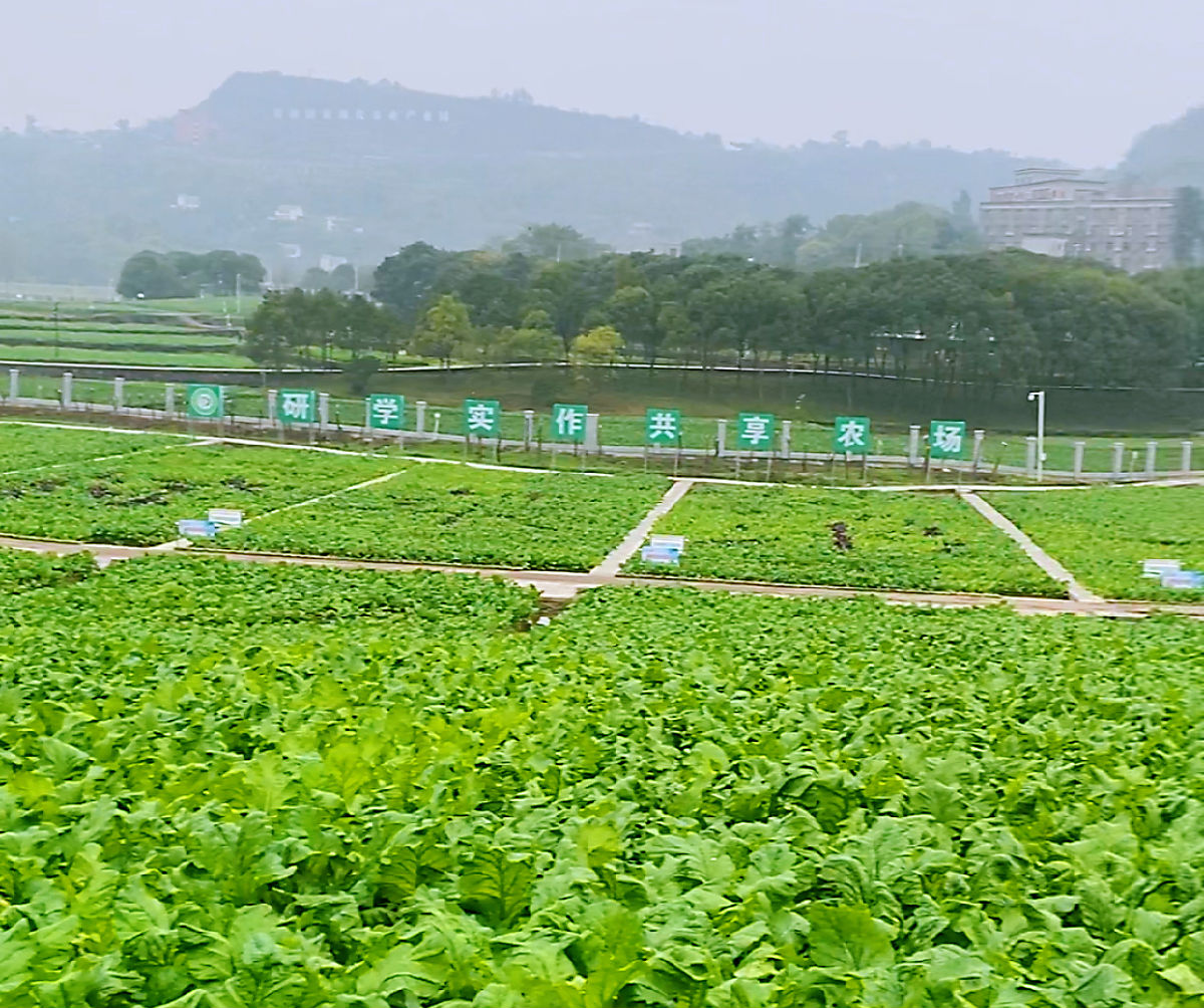 图片8.png 羞羞影视